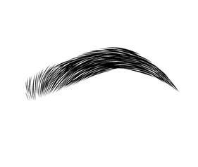 Cejas